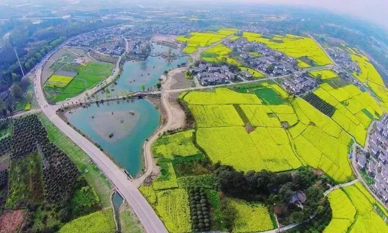 迁安市农业农村局最新战略规划揭秘