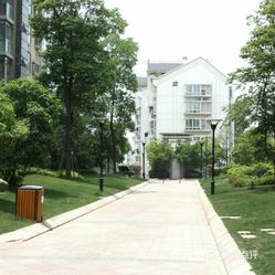 大型社区居委会最新发展规划概览