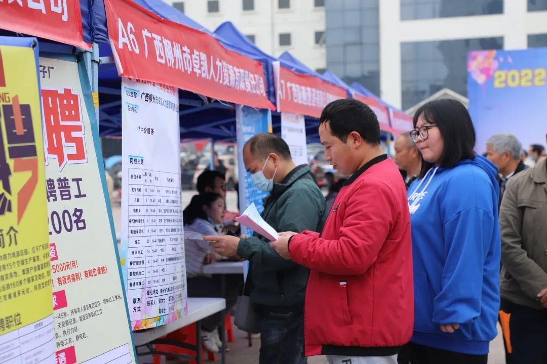 融水最新招聘动态与职业机会展望，最新招聘信息及展望分析