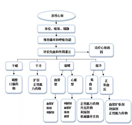心衰最新指南，全面解读与治疗策略详解