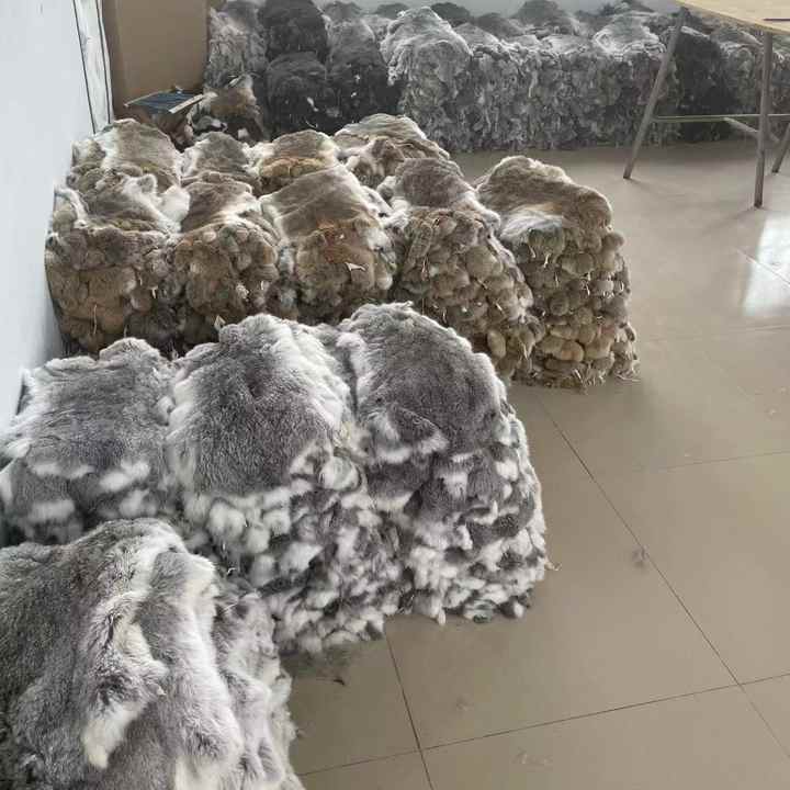 兔皮最新行情深度解析与趋势预测