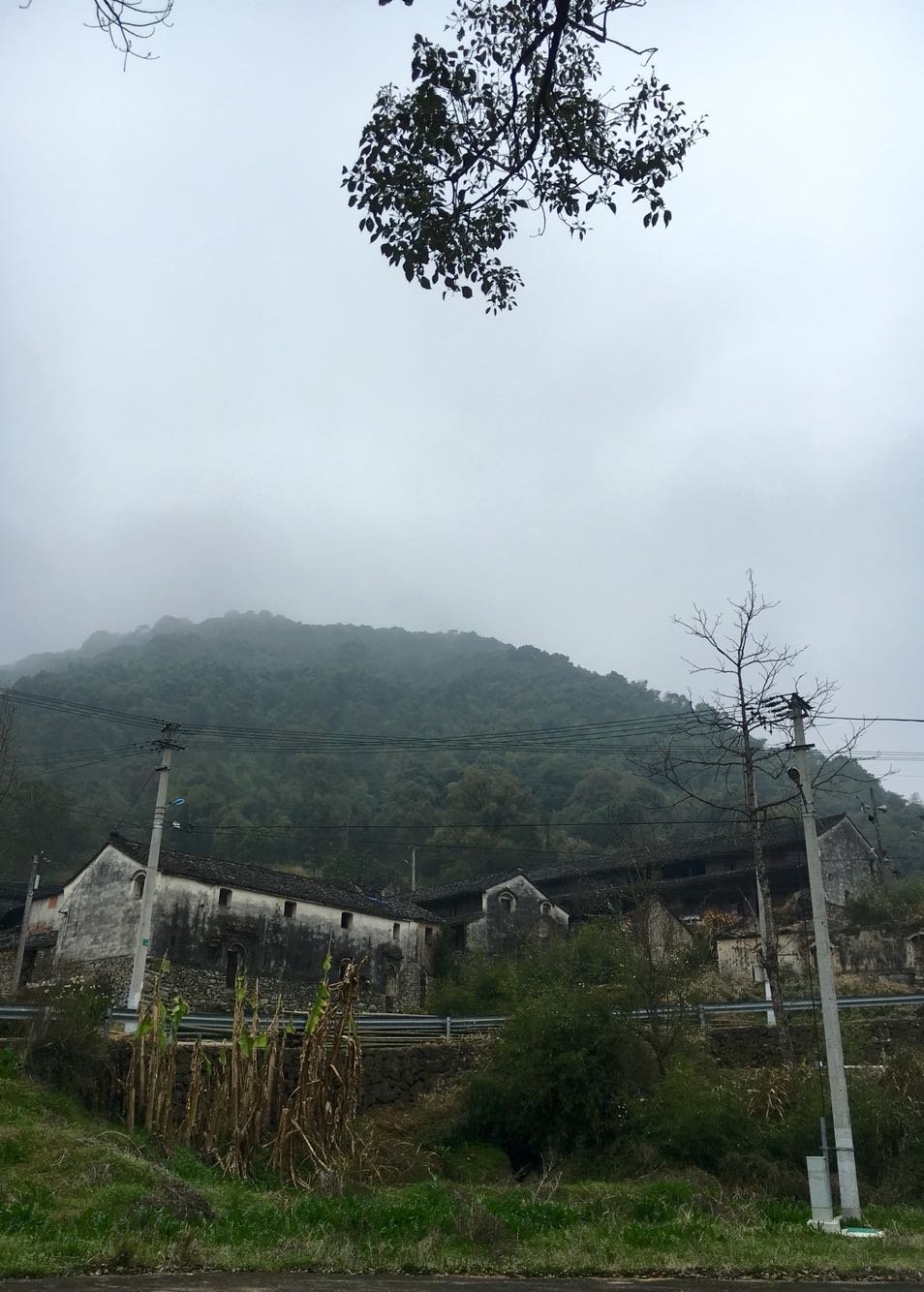 郑宅镇最新天气预报汇总通知