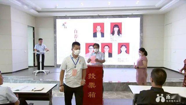 陈庄村民委员会最新项目，乡村振兴的新引擎