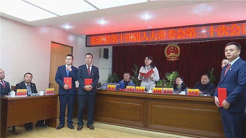 龙子湖区交通运输局人事大调整，重塑未来交通格局的新篇章